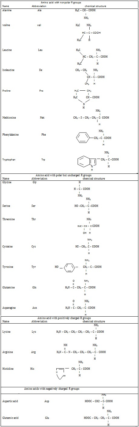  common amino acids